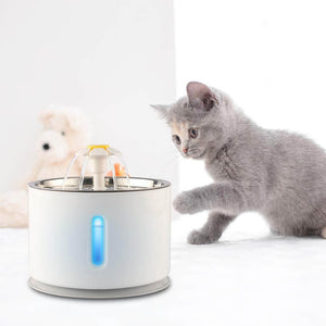 Cats Innovation™ Light-Up Fountain