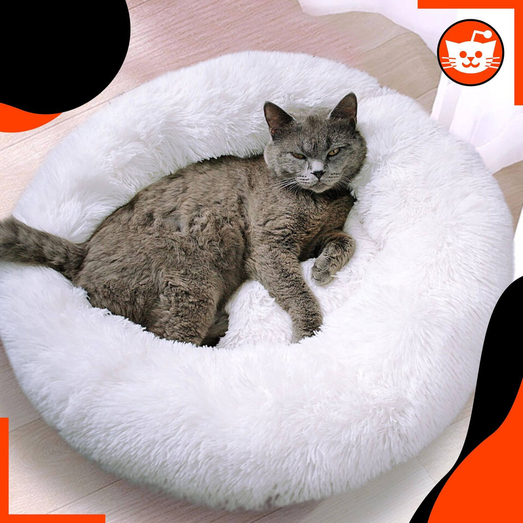 Cats Innovation™ Pet Bed