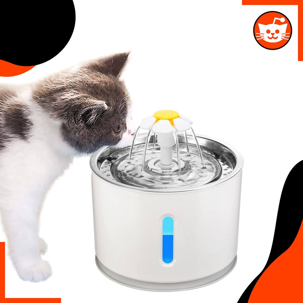 Cats Innovation™ Light-Up Fountain