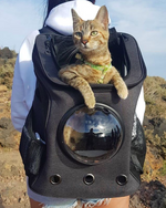 Cats Innovation™ Backpack