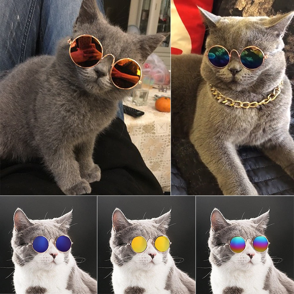 Cats Innovation™ Sunglasses